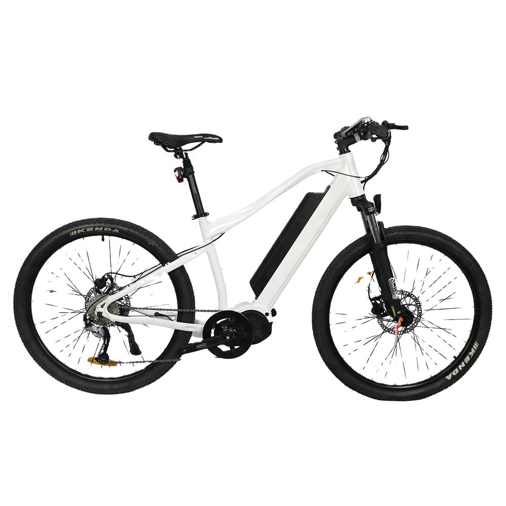 New Speed Mid Drive Motor Electric Mountain Bicycle bafang MTB E bike City Electric Bike 1000w hidden battery
