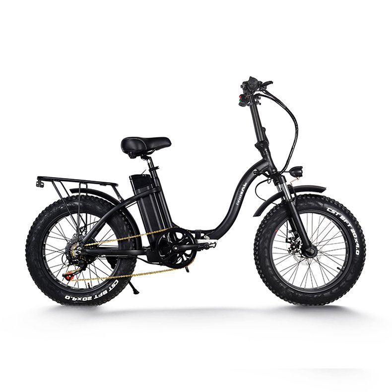 Practical and Safe 48V350w 10A Fat Tire Electric Mountain Bike Cheap Electric Bikes