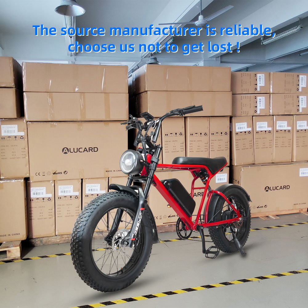 Factory 7 Speed Fat Tire Electric Mountain Bike 20" Fat Tire Electric Bicycle Long Distance Adult Off Roda E bike