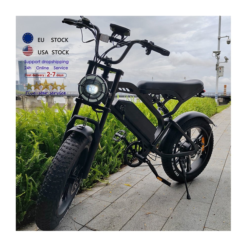 Large screen 20*4 inch electr bike V20 Pro 250W/500w/750w electric dirt bike electric mountain bike electric city bike
