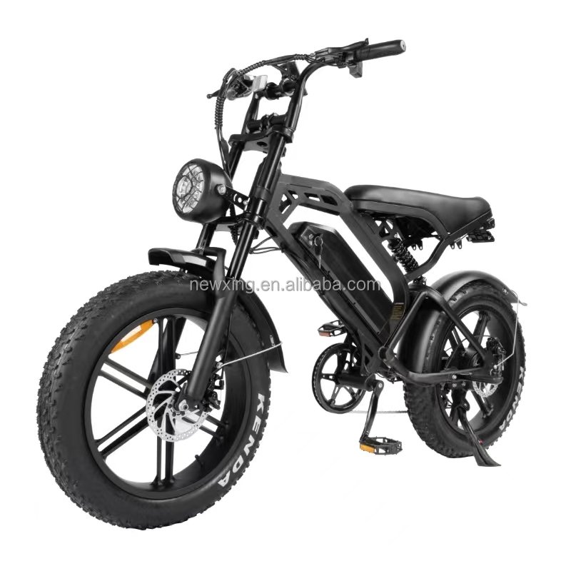 Large screen 20*4 inch electr bike V20 Pro 250W/500w/750w electric dirt bike electric mountain bike electric city bike