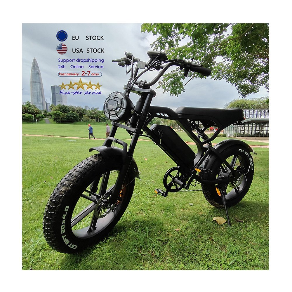 Large screen 20*4 inch electr bike V20 Pro 250W/500w/750w electric dirt bike electric mountain bike electric city bike