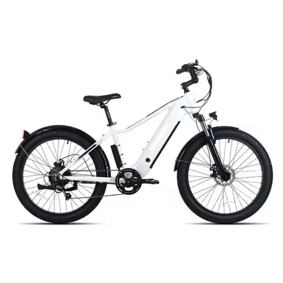 Electric Mountain Bike Absorber Adult Electric Off Road 26 inch 350W Electric Bike 2024