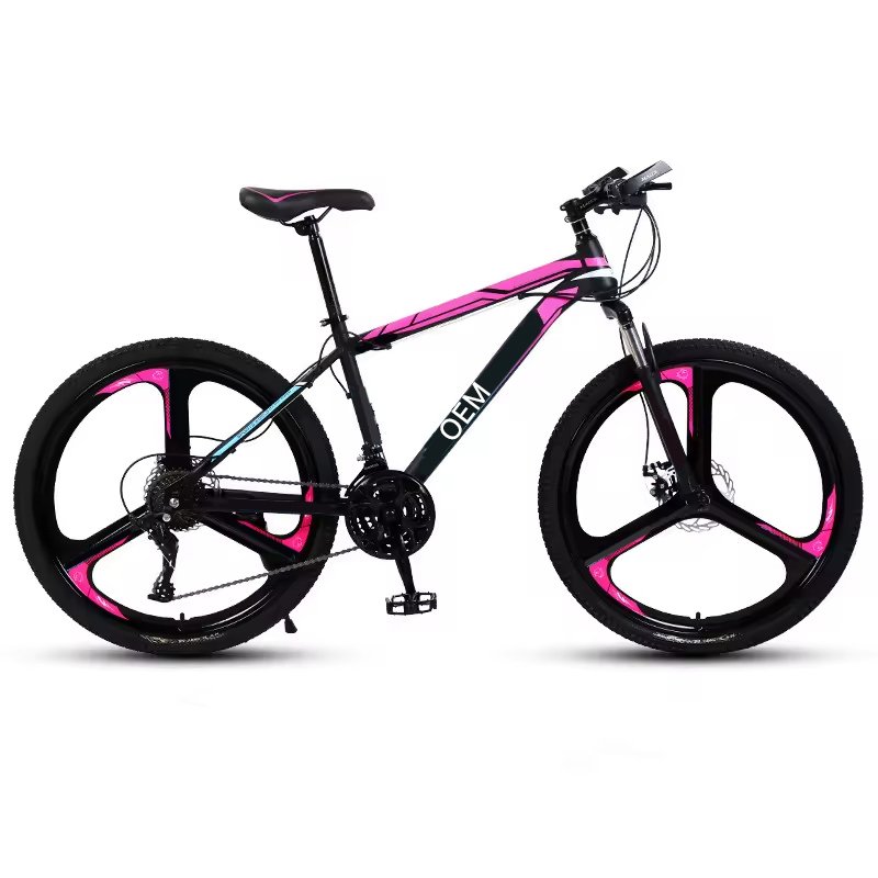 Factory direct selling fitness shaping aerobic sports double disc brake woman Bici mountain bike