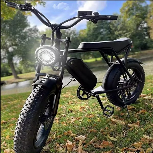 Ready to Ship V8 Electric Bike 1000w 20inch Fat Tire E-bike 250w Urban Electric Bicycle 25km/h Adult Fatbike