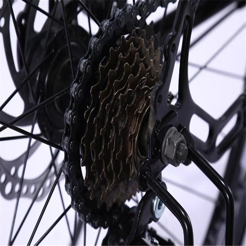 Wholesale Cheap Price 21 Speed Bicycle Pedal Mountain Bike