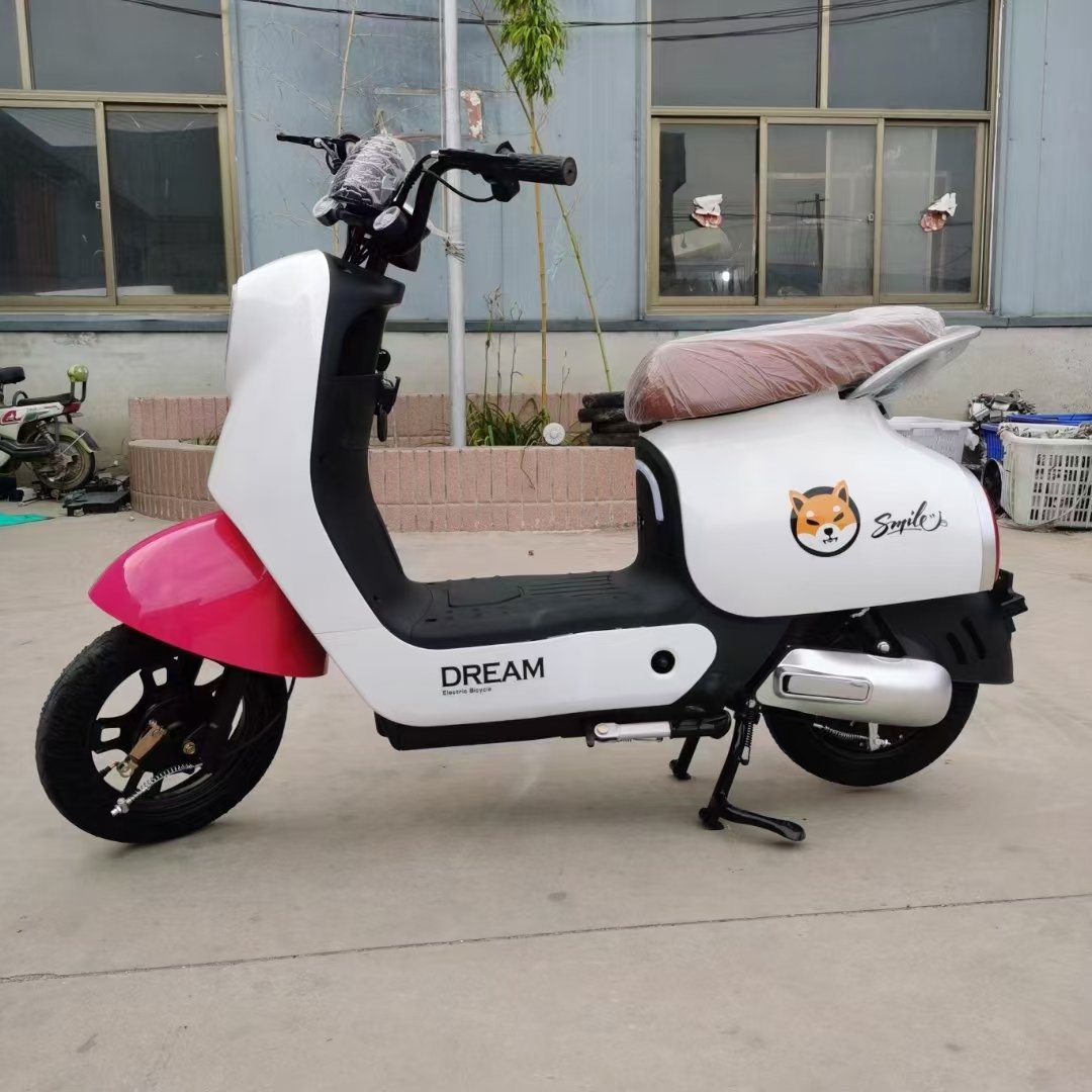 Wholesale Cheap price 350W City E-bike 48V 12Ah Battery Cycle Electric Bicycle Scooter for Adults