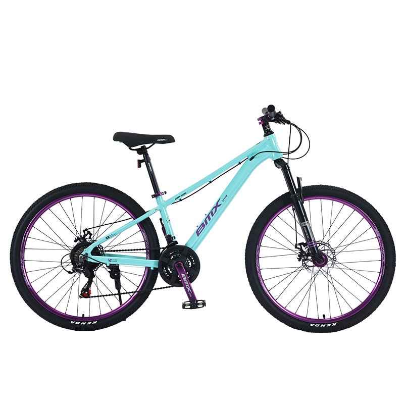 New Saipaqi Dirt Bike Mountain Bike 26-Inch 9-Speed off-Road Men's and Women's Variable Speed Adult Shock Absorber Bicycle