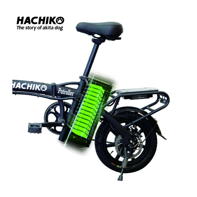 Cheap electric city bike high carbon steel high quality 48V 12Ah long range electric folding bike