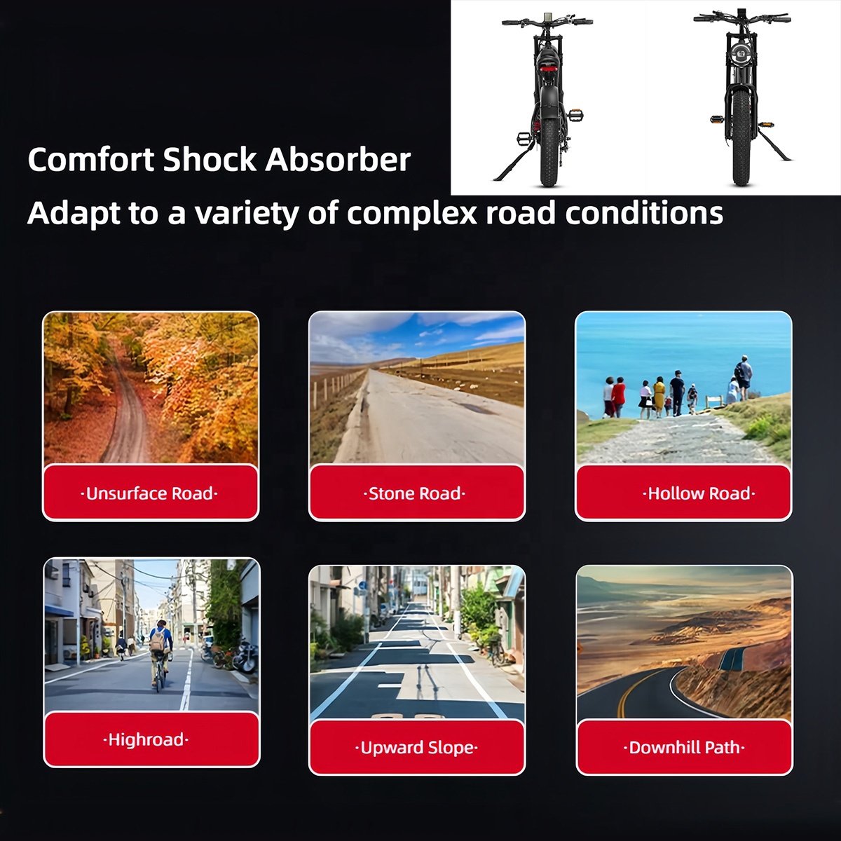 OEM 1000W 48V 60Ah Full Suspension 85Nm Torque Long Range Ebike 20 * 4.0inch Fat Tire Electric Mountain Bike for Adults
