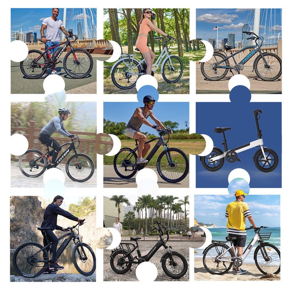 OEM 1000W 48V 60Ah Full Suspension 85Nm Torque Long Range Ebike 20 * 4.0inch Fat Tire Electric Mountain Bike for Adults