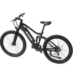 251 - 350W
