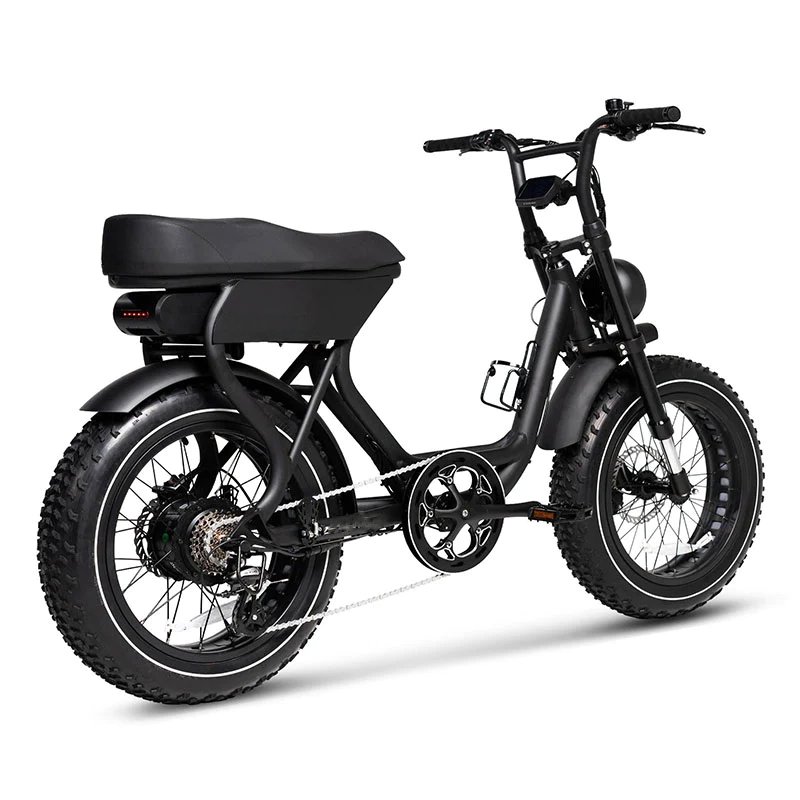 Wholesale 7 Speed City Bike With Motor Bikes 750W 48v Electric Mountain Bike For Adults Bicycle