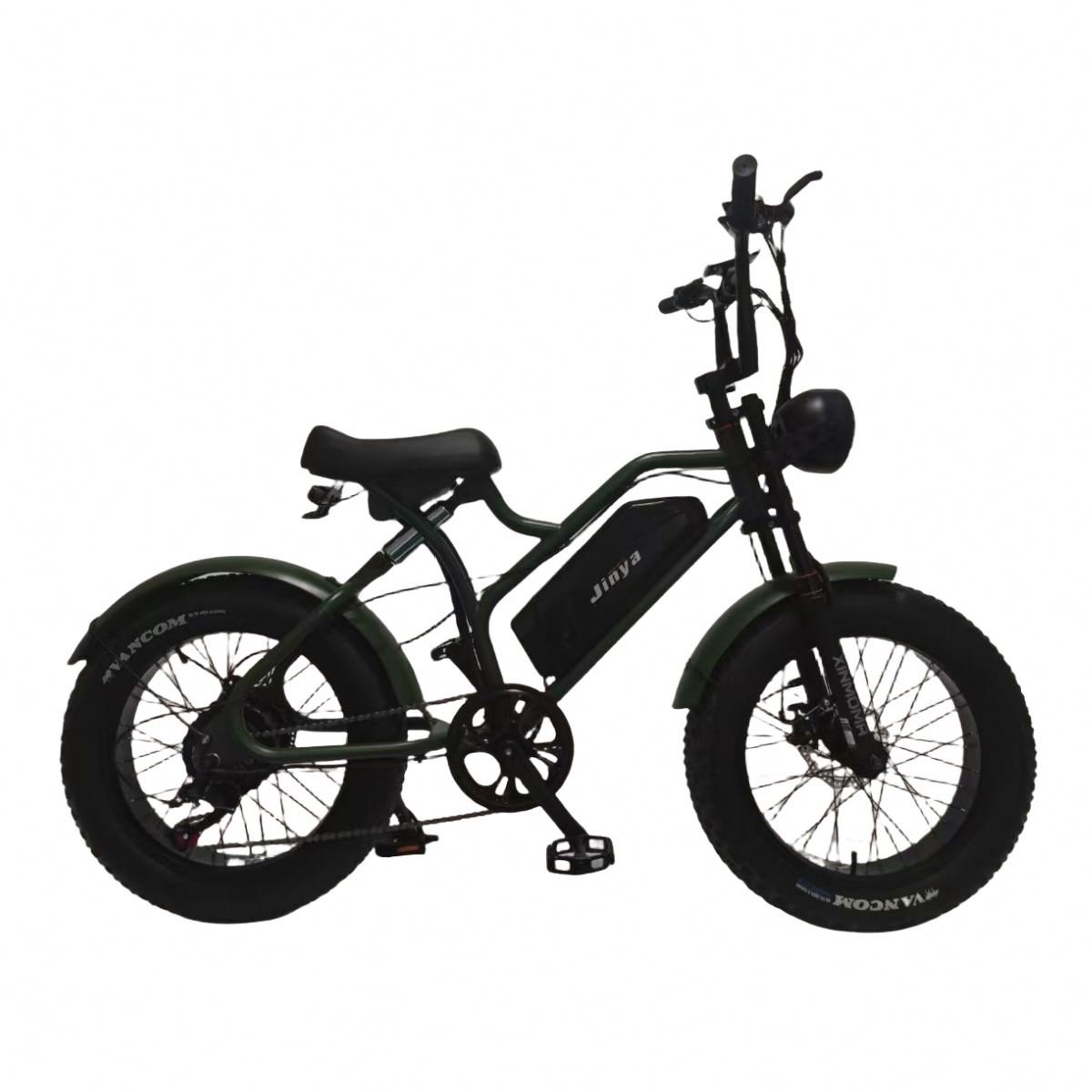 Premium Black 48v16ah Battery Mountain E-bike Hot Selling Fat Tyre fat hybrid bike City Sports Electric Road Bike