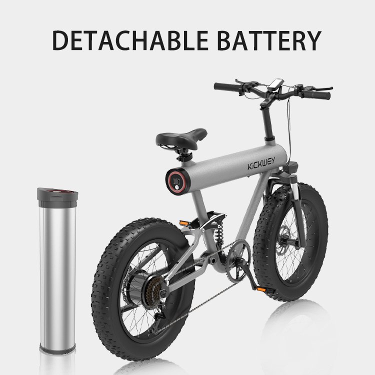 Wholesale 1000w E mountain Mountainbike Electricbike 48v City Electric Bicycle bike