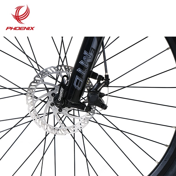 Phoenix Direct Sales Aluminum Adult Electric Mountain Bike Lithium Battery Electric Mountain Bike