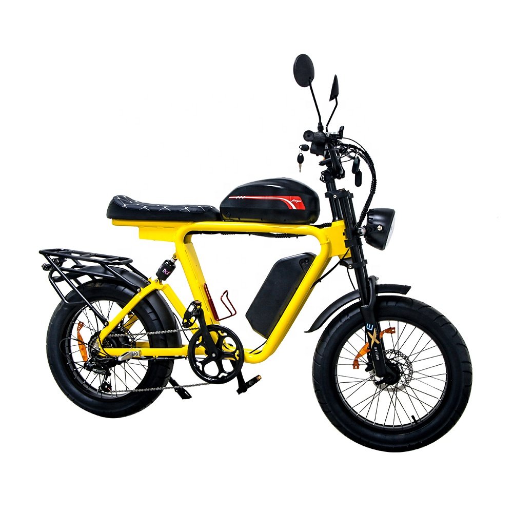 e-bicycle e bike motorcycle e dirt bike fat tire bicycle fahrrad 1000w motor Lithium Battery 54 ah Electric City Bike for adult