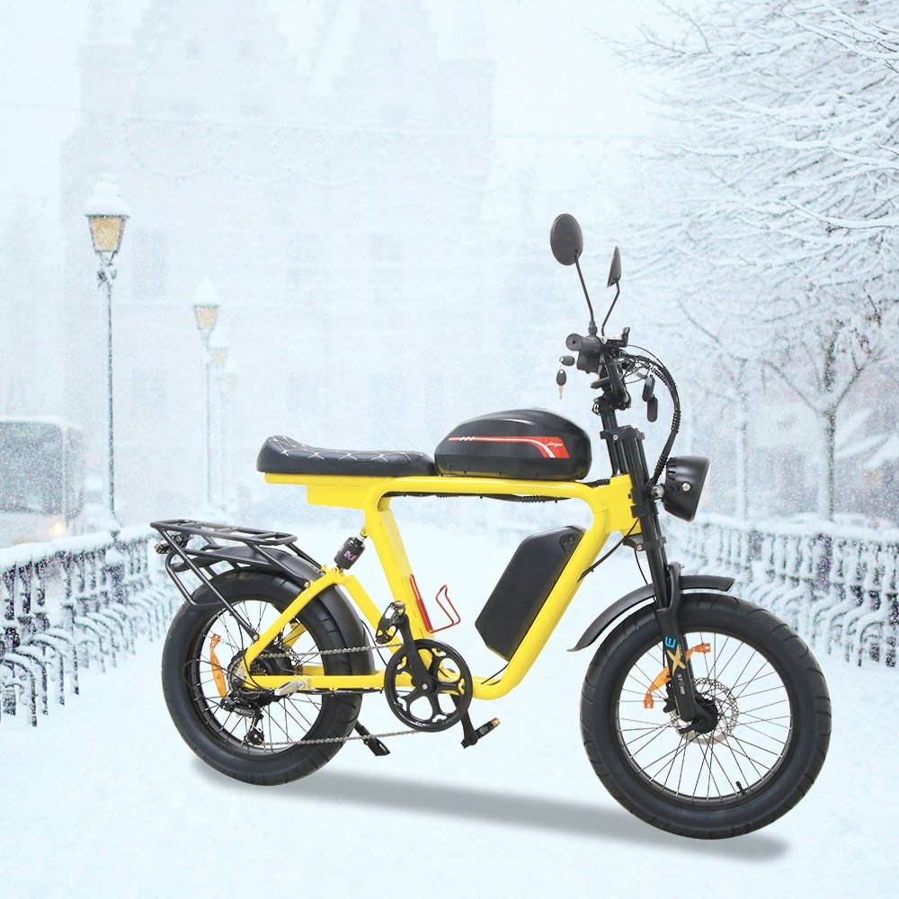 e-bicycle e bike motorcycle e dirt bike fat tire bicycle fahrrad 1000w motor Lithium Battery 54 ah Electric City Bike for adult