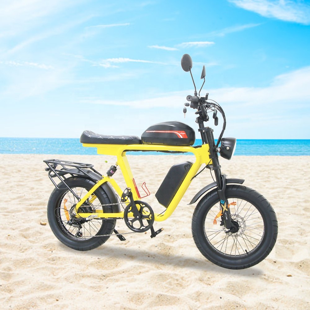 e-bicycle e bike motorcycle e dirt bike fat tire bicycle fahrrad 1000w motor Lithium Battery 54 ah Electric City Bike for adult