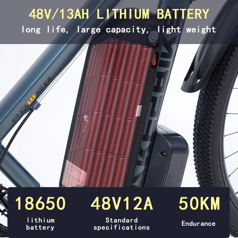 AKEZ Aluminum Alloy Electric Bike 21 Speed Electric Bicycle For Adult 29inch Mountain ebike 48v13AH Lithium Battery 1000w e bike