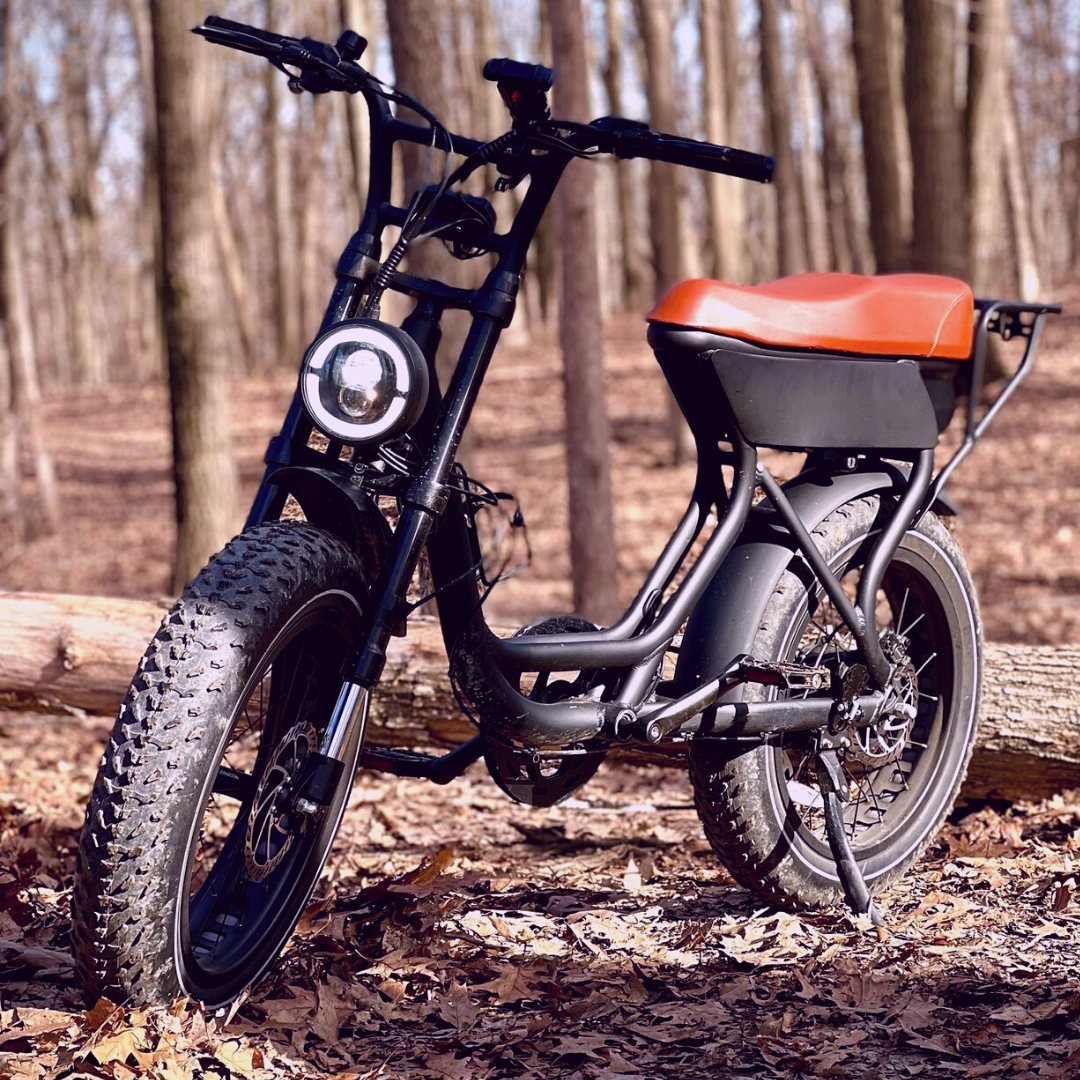 EU stock China factory high quality electric bike 750w Long tail electric bicycle fashion electric city bike for adult