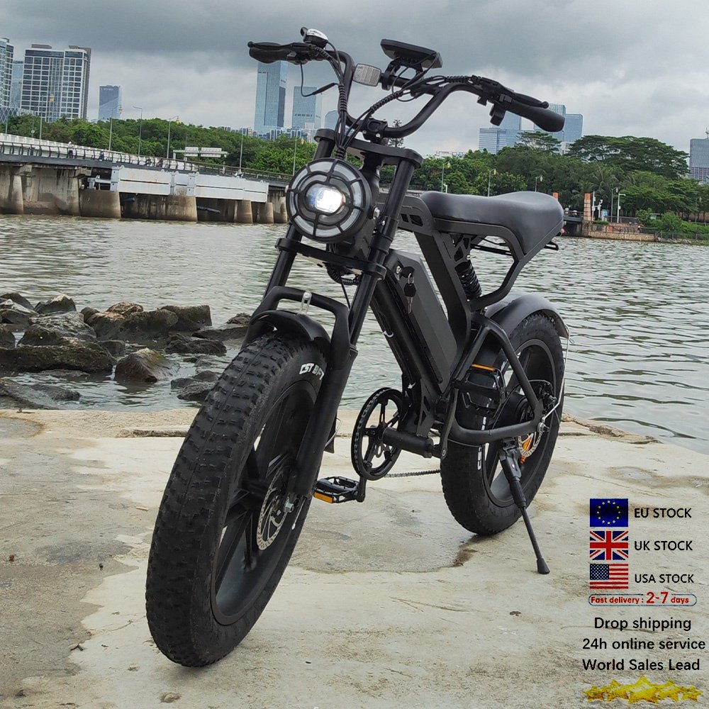 20*4 inch electr bike price V20 Pro Large screen 250W/500w/750w fatbike electric bicycle electric city bike ebike