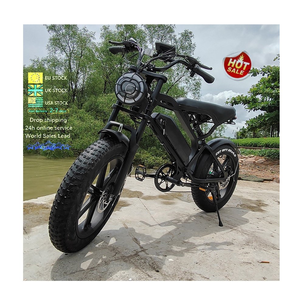 20*4 inch electr bike price V20 Pro Large screen 250W/500w/750w fatbike electric bicycle electric city bike ebike