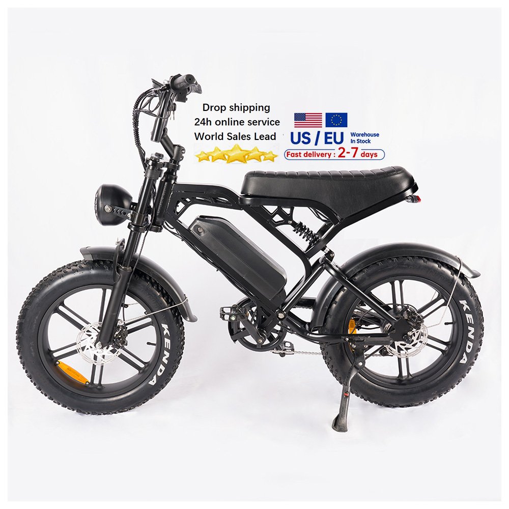 20*4 inch electr bike price V20 Pro Large screen 250W/500w/750w fatbike electric bicycle electric city bike ebike