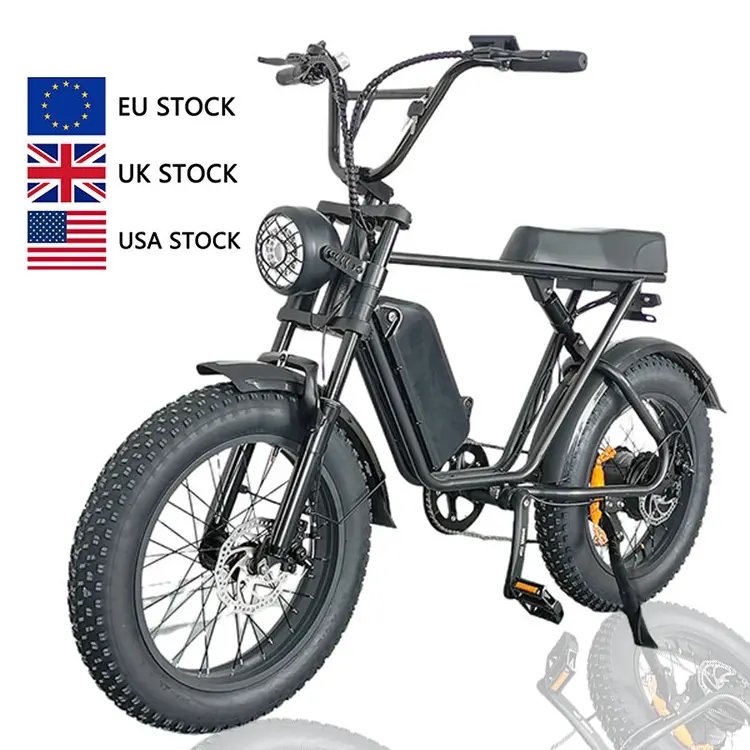 7 Speed Electric Mountain Bike Fast Speed 50km/h Electric Bike Aluminum Frame 1000W 48V Electric Bicycle
