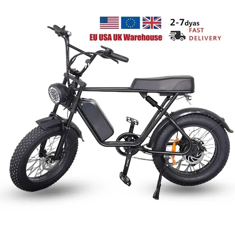 7 Speed Electric Mountain Bike Fast Speed 50km/h Electric Bike Aluminum Frame 1000W 48V Electric Bicycle