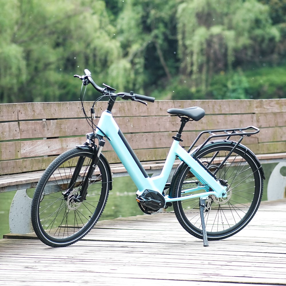 I am the only one like 36V 250W Retro Electric City Bike Bicicleta Electrica