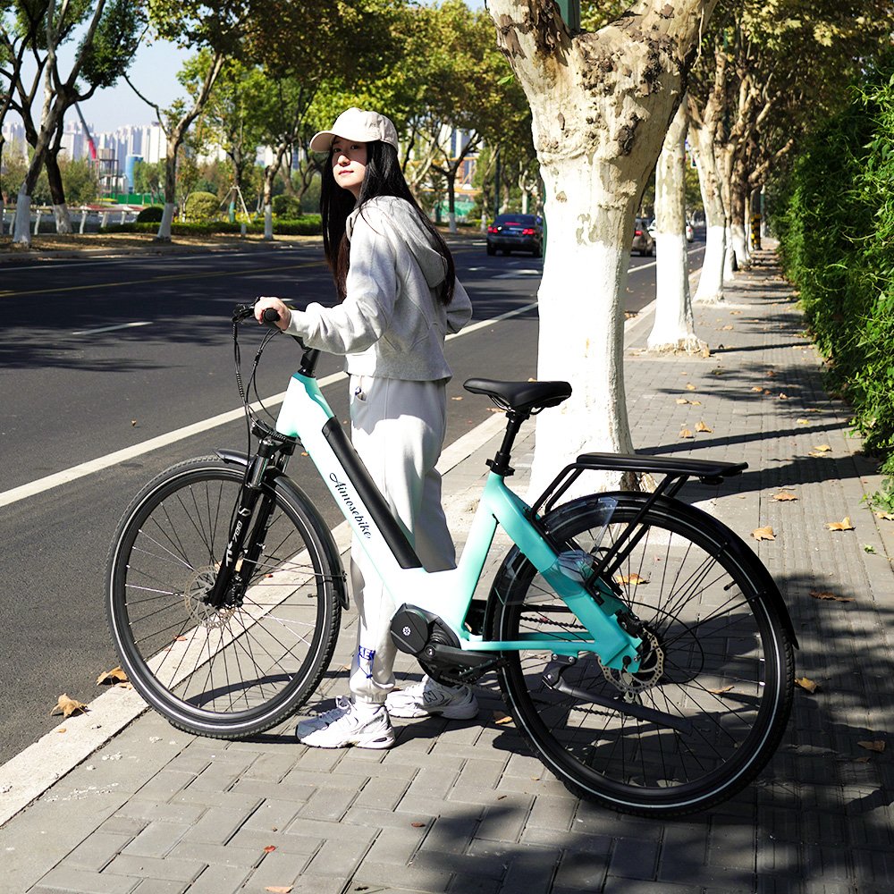 I am the only one like 36V 250W Retro Electric City Bike Bicicleta Electrica