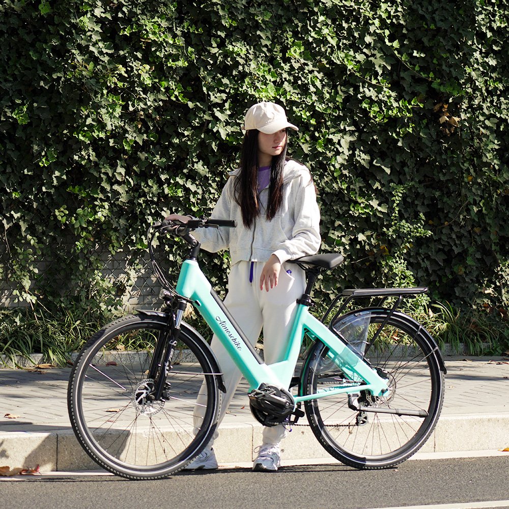 I am the only one like 36V 250W Retro Electric City Bike Bicicleta Electrica