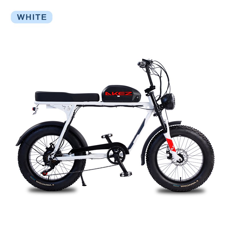 AKEZ 1000w 750w Electric Bicycle Mountain Ebike Removable Lithium Battery 48v 13ah 4.0 Fat Tire Ebike Beach Cruiser Bike