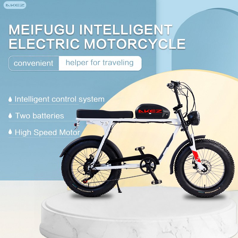 AKEZ 1000w 750w Electric Bicycle Mountain Ebike Removable Lithium Battery 48v 13ah 4.0 Fat Tire Ebike Beach Cruiser Bike