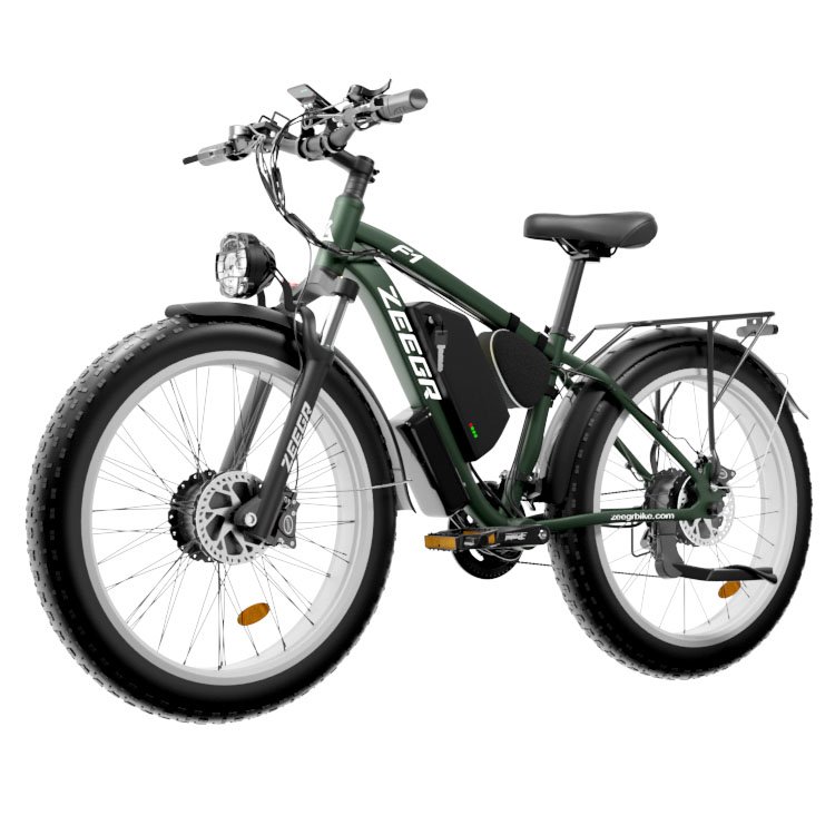 China Supplier 1000W Dual Motor Other City E-bike Hybrid Electric Bicycle Fat Tire Electric Mountain Bike