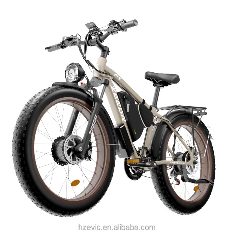 China Supplier 1000W Dual Motor Other City E-bike Hybrid Electric Bicycle Fat Tire Electric Mountain Bike