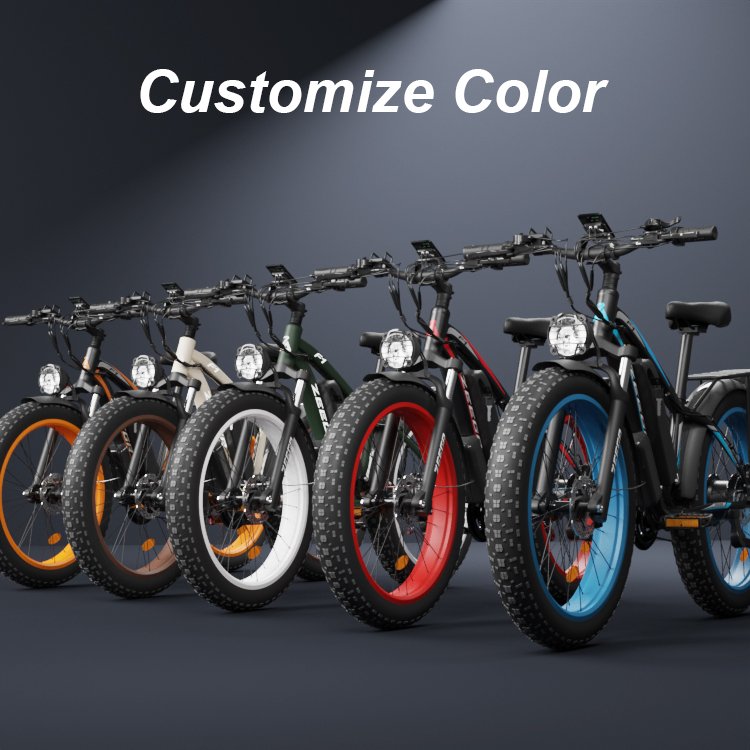 China Supplier 1000W Dual Motor Other City E-bike Hybrid Electric Bicycle Fat Tire Electric Mountain Bike