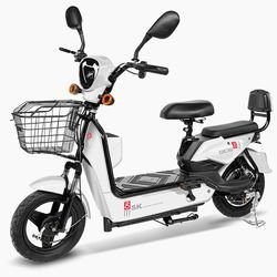 48V 12AH 350W