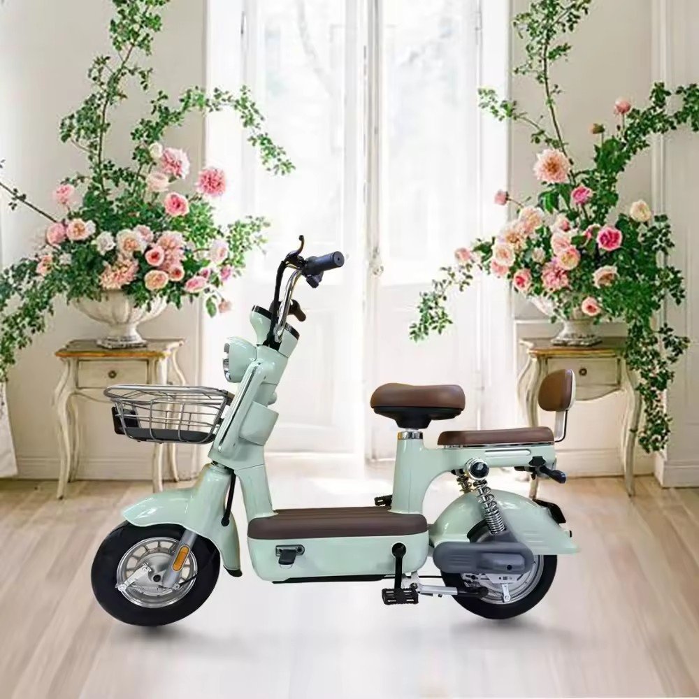 14inch Factory Wholesale Electric Bicycle 350w 48v Adult Electric City Bike Lead-Acid Battery Two-Wheeled Electric Scooter