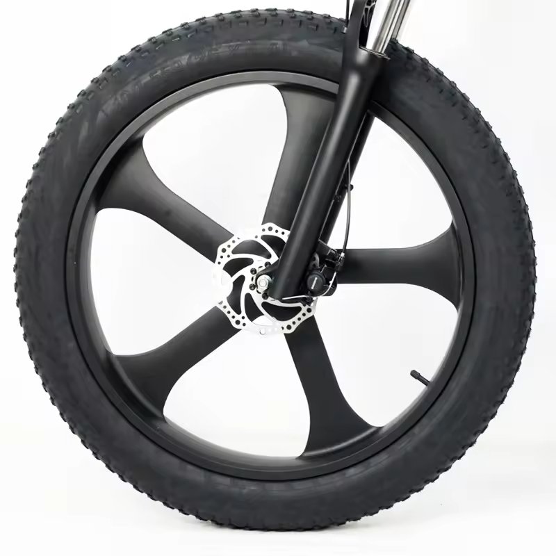 RANDRIDE YX90M 1000w Fat Tire Electric Bike 21 Speed Electric Mountain Bike