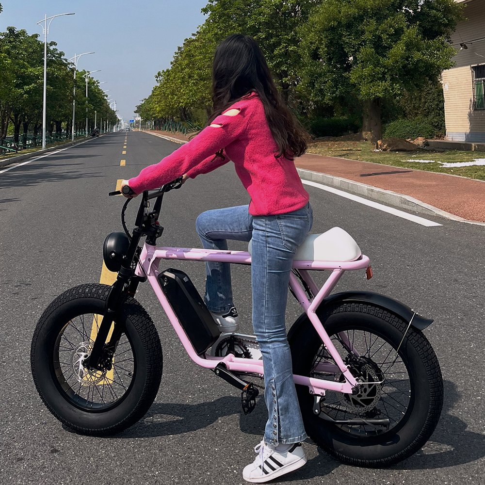 Factory wholesale fatbike 750W supe electric bike 20Inch*4.0 fat tire electric bike 73 electric hybrid bike