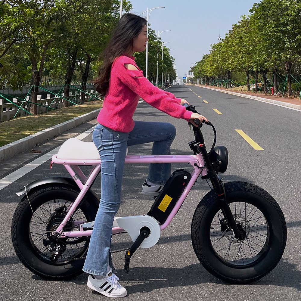 Factory wholesale fatbike 750W supe electric bike 20Inch*4.0 fat tire electric bike 73 electric hybrid bike