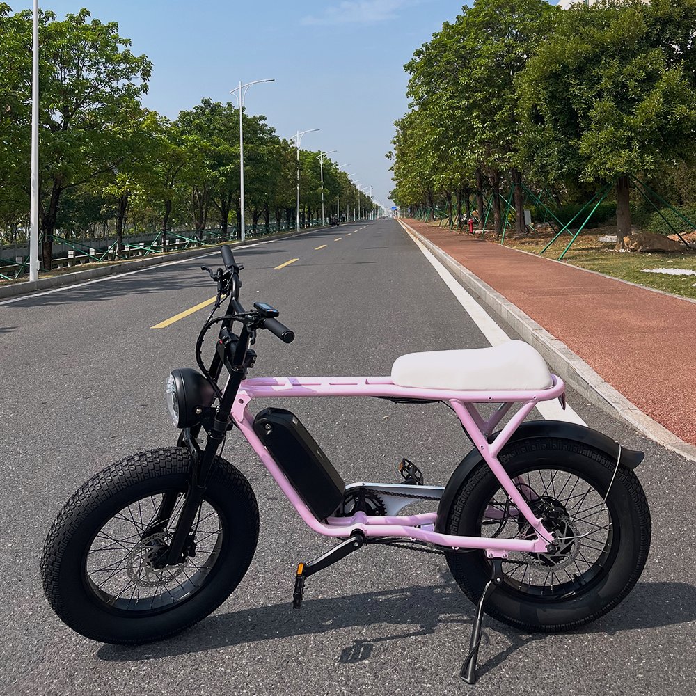 Factory wholesale fatbike 750W supe electric bike 20Inch*4.0 fat tire electric bike 73 electric hybrid bike