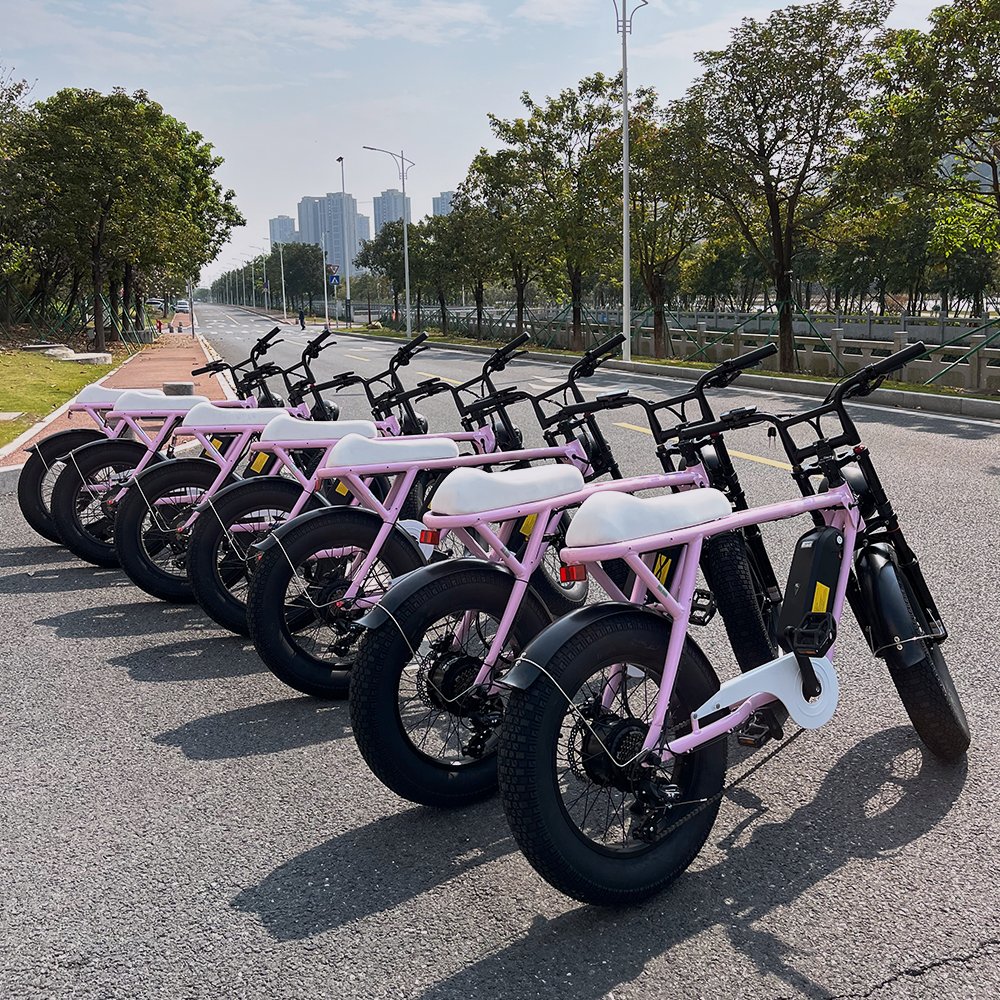 Factory wholesale fatbike 750W supe electric bike 20Inch*4.0 fat tire electric bike 73 electric hybrid bike