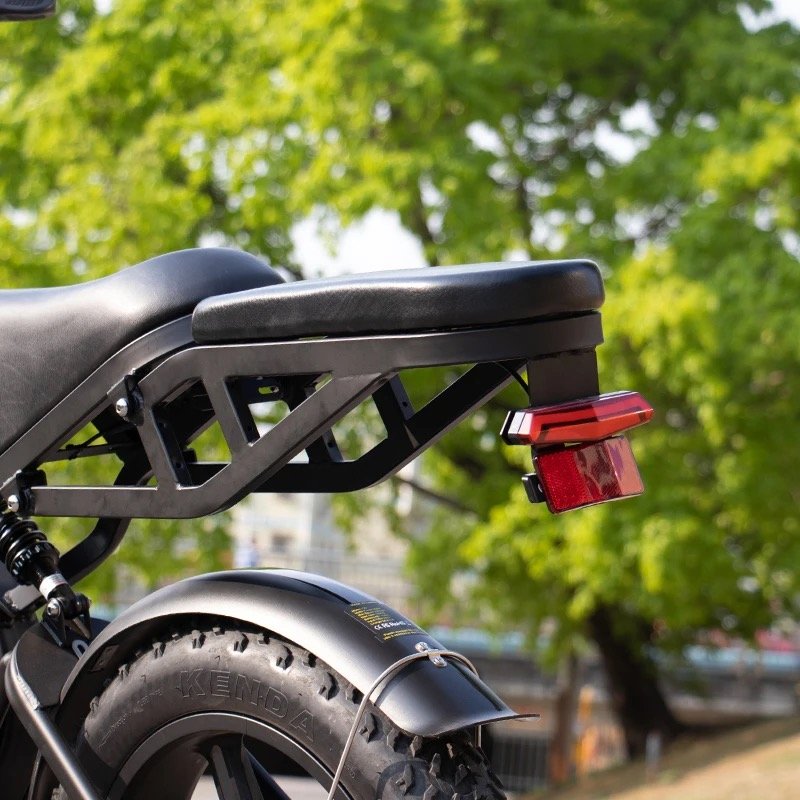 Netherlands Popular V20 fat tire drive motor full suspension mountain electric bike fat tire e-bike for adults