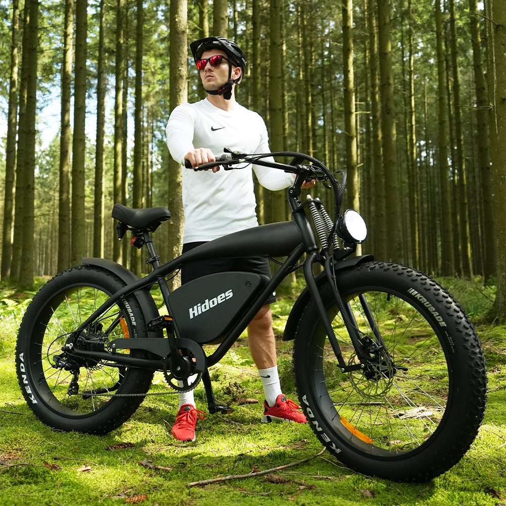 Dropshipping EU US Warehouse Hidoes B3 electric Fat Tire bike 45km/h Range Off Road Moped b3 electric Mountain bike