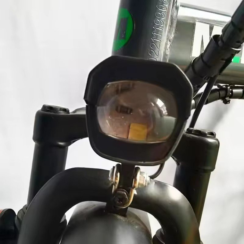 cheap quality electric bike adult variable speed electric bike 48v 12ah 20ah lead acid battery smart city electric bike