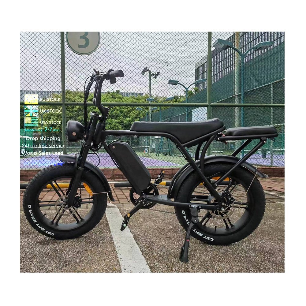 V8 Electric Bike 250W fatbike Electric Bike 48v big lithium battery 25km/h fast electric all weather mountain e bike