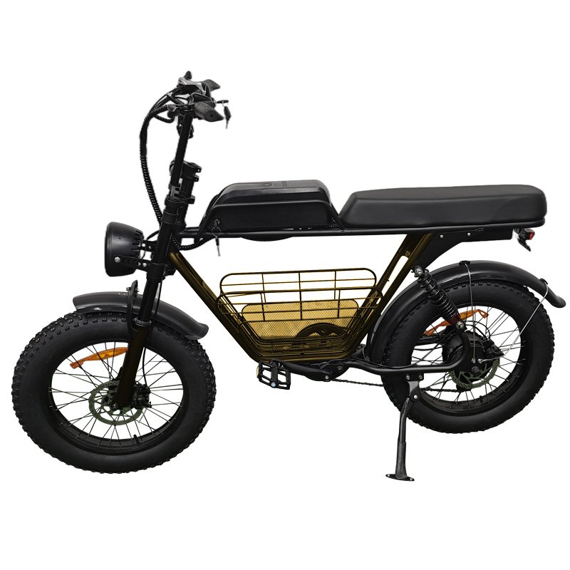20inch Off Road Ebike Mountain Bike Ruihe S1 Electric Fat Bike with 1000W Brushless Motor Hybrid Bike